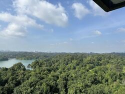 Lakeview Estate (D20), Apartment #519696371